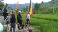 Berburu babi di Kabupaten Agam Sumatera Barat. (Liputan6.com/ Dok Humas Agam)