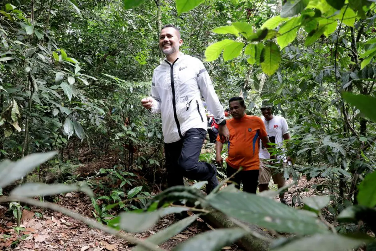 Wagub Sumut, Musa Rajekshah
