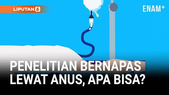 Peneliti Menguji Proses Bernapas Lewat Anus, Seperti Apa?