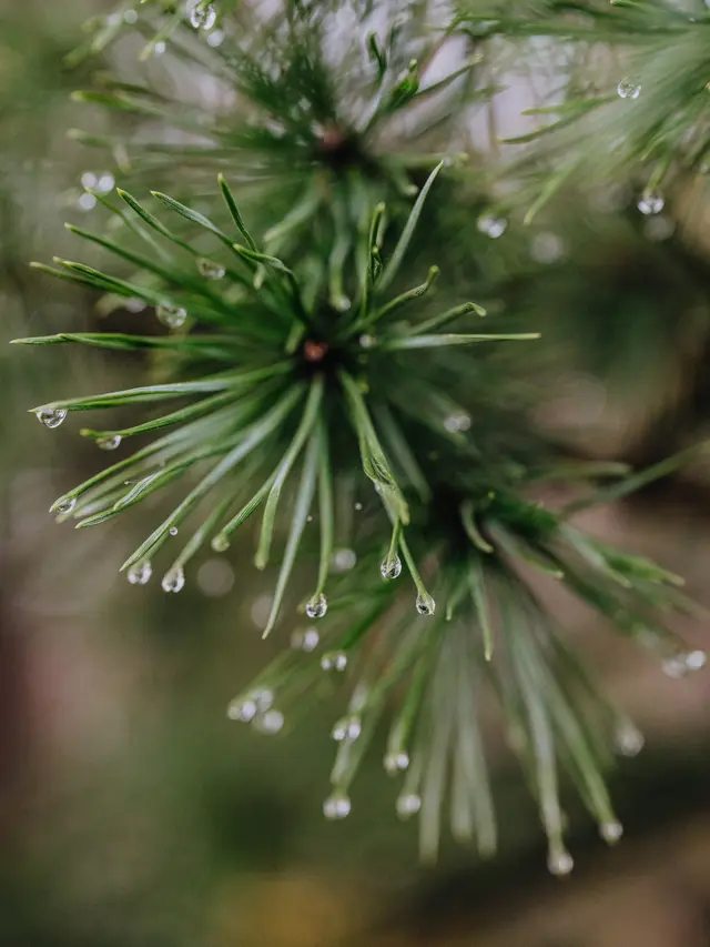 Kelebihan atau Kekurangan Air