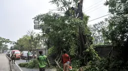 Petugas Suku Dinas Kehutanan Jakarta Timur menebang pohon lebat yang berada di pinggir Jalan I Gusti Ngurah Rai, Jakarta, Rabu (25/7). Penebangan pohon juga untuk membersihkan ranting yang menutupi rambu lalu lintas. (Merdeka.com/Iqbal Nugroho)