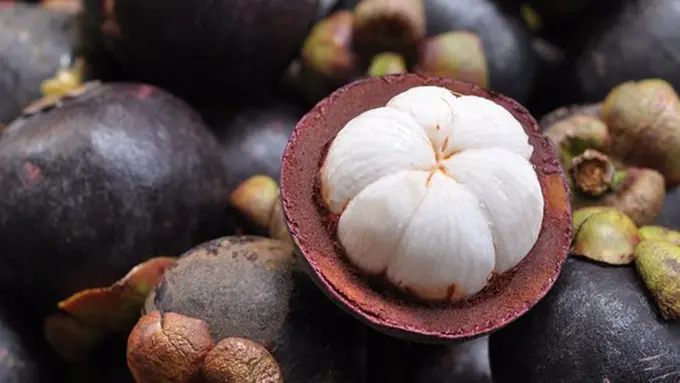 copyright pixabay.com/Taboty