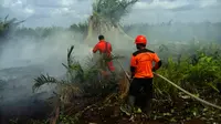Kebakaran akibat perambahan hutan di Taman Nasional Tesso Nilo, Kabupaten Pelalawan, Riau. (Liputan6.com/M Syukur)