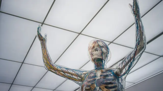 Penyebab paling umum dari kesemutan adalah diabetes