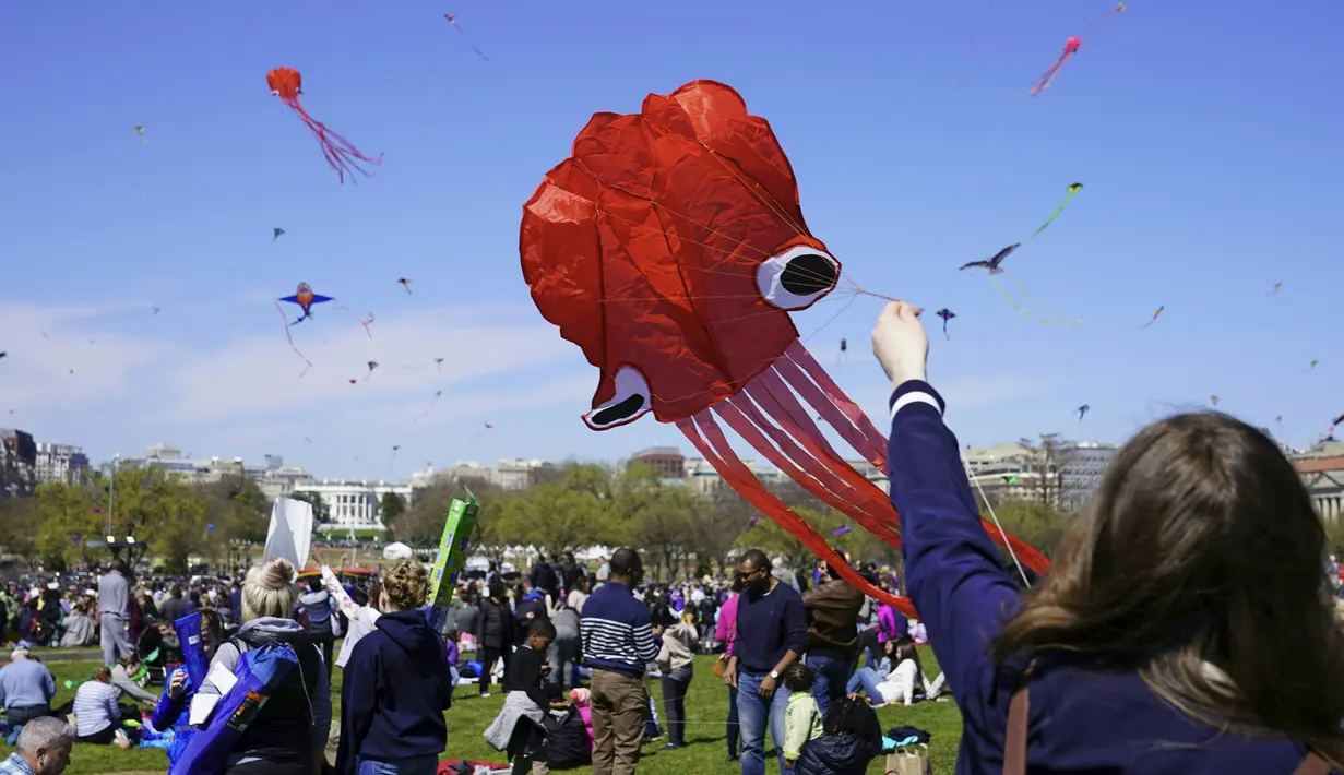 Seorang wanita berusaha menerbangkan layang-layang pada Festival Blossom Kite (Festival Layang-Layang) di dekat Monumen Washington di Washington, D.C., Amerika Serikat, Sabtu (31/3). Festival ini untuk menyambut bunga sakura bermekaran. (Eva HAMBACH/AFP)