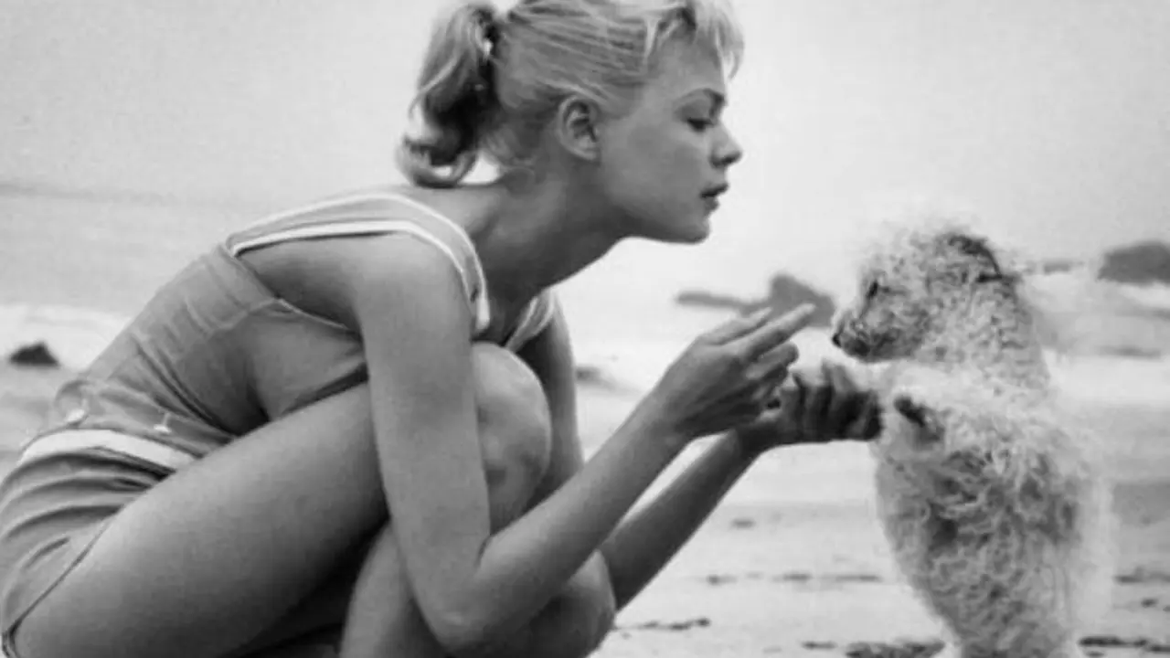 Sandra Dee
