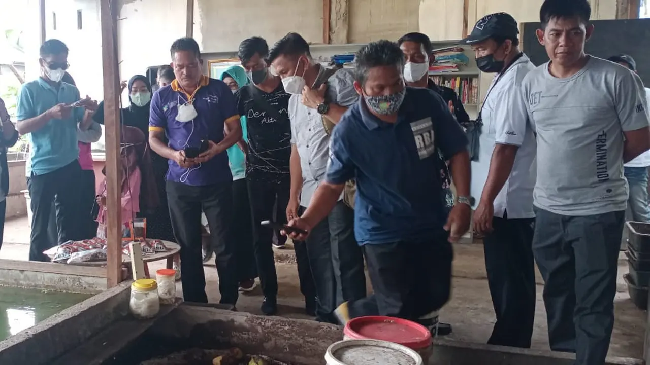 Pertanian terpadu di Pontianak. (Foto: Liputan6.com/Aceng Mukaram)