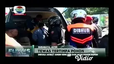 Tiga pengendara motor di Jalan Ahmad Yani Surabaya, tertimpa pohon besar yang tumbang. Diduga pohon peneduh yang berada di tepi jalan itu, sudah tua, sehingga tercabut dari akarnya.