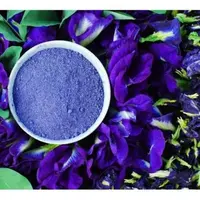 Bunga Telang. (foto: Pinterest/Freepik).