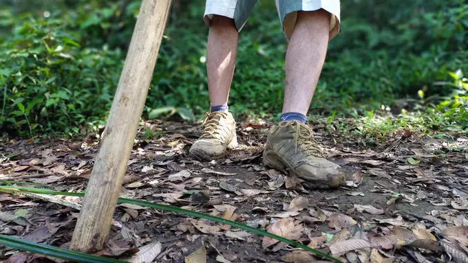 Ilustrasi Mendaki Gunung