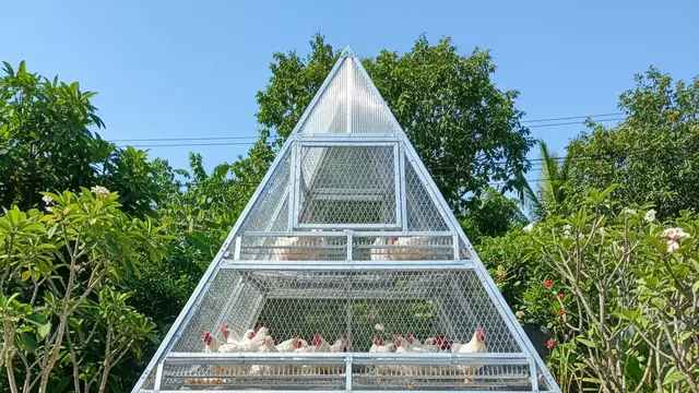 Desain Kandang Ayam Baja Ringan. AI