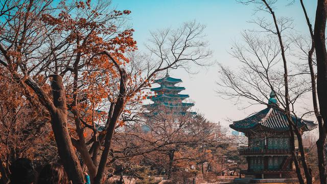 Libur Sekolah, Intip 10 Rekomendasi Tempat Wisata di Korea Selatan dari Seoul hingga Busan