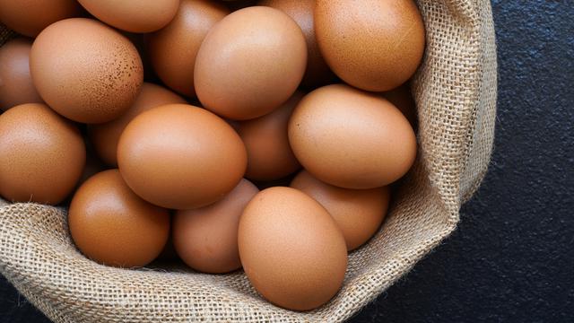 Telur
