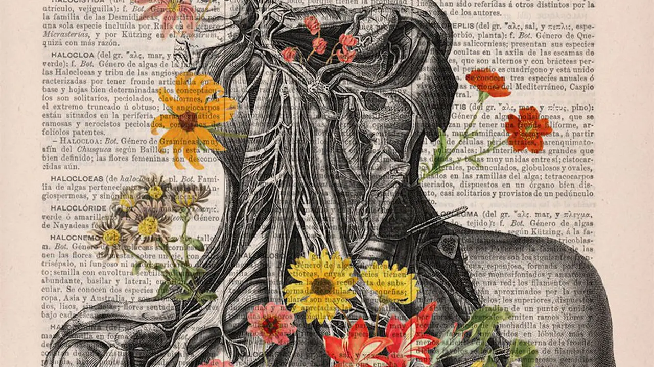 [Bintang] 10 Ilustrasi Anatomi Tubuh Motif Bunga yang Digores di Buku Tua