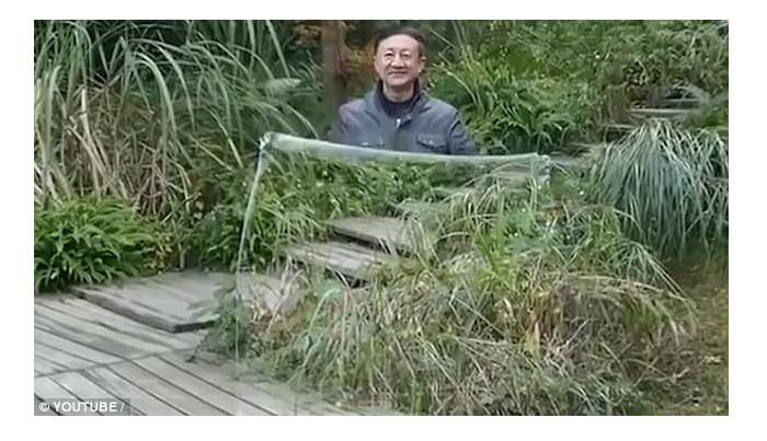 Video yang memperlihatkan jubah tak terlihat viral di internet (Sumber: DailyMail/ YouTube: OverlookingAsiaPasifif)