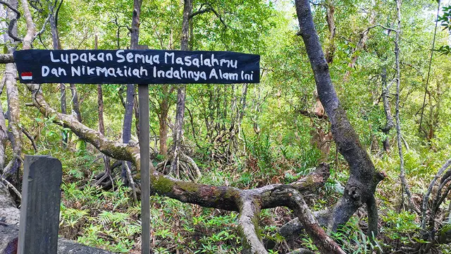 Wisata Mangrove Lati Tuo Desa Klempang Sari, Kecamatan Kuaro, Kabupaten Paser.
