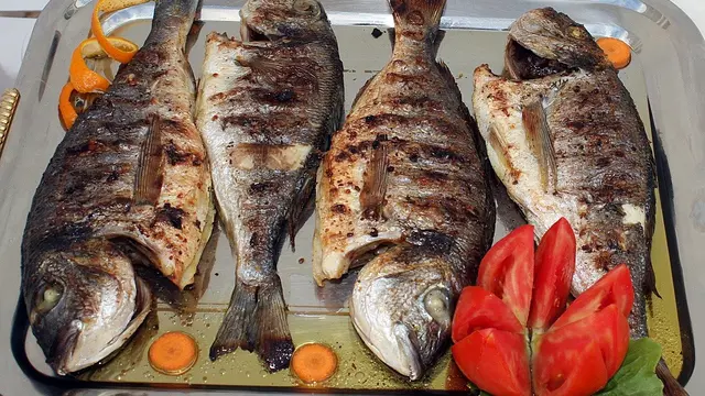 Ilustrasi ikan bakar