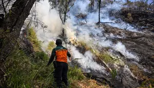 Pemadaman Terus Dilakukan Setelah Karhutla Melanda Gunung Bromo