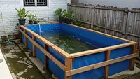 Cara Membuat Kolam Ikan di Rumah Subsidi Tanpa Menggali Tanah, Hemat Biaya