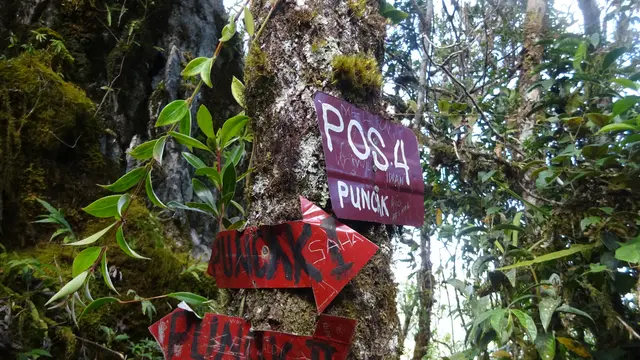 Menuju puncak Gunung Ambeso di Tanah Toraja, Sulawesi Selatan