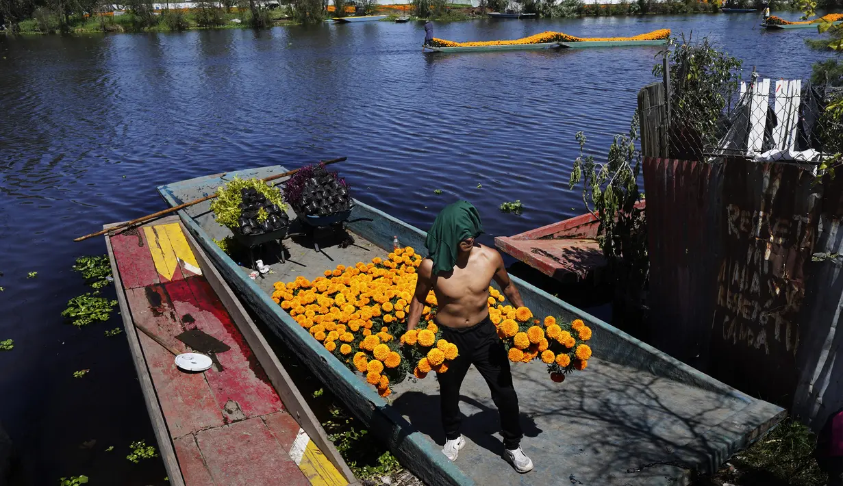 Pekerja mengangkut Marigold dengan perahu melalui Kanal Xochimilco di pinggiran Mexico City, Meksiko, 13 Oktober 2021. Di Meksiko, Marigold juga dikenal sebagai cempasúchil atau bunga kematian dan digunakan pada perayaan Day of the Dead atau Hari Kematian setiap 2 November. (AP Photo/Marco Ugarte)