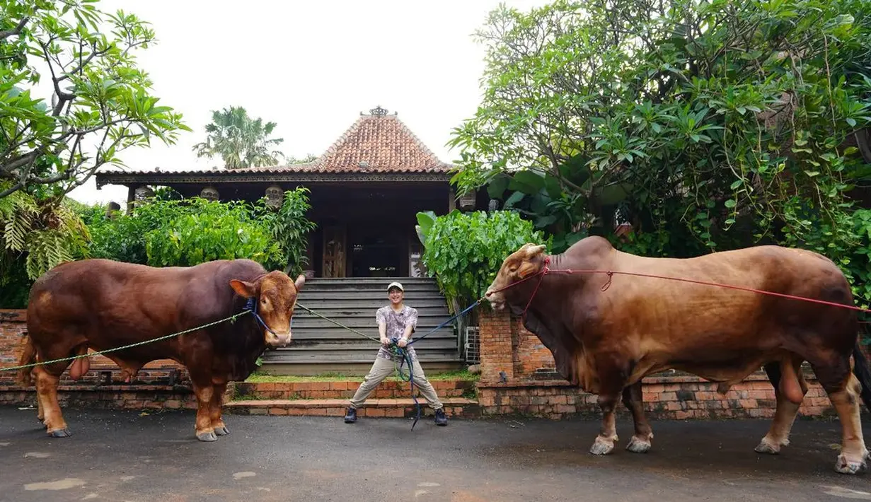 "GOLDEN - WARISO," tulis Irfan dalam unggahan 28 Juni. Satu bernama Wariso diambil dari peternakan di Yogyakarta, sedangkan satu lagi bernama Golden diambil dari peternakan di Ciawi. [Instagram/irfanhakim75]