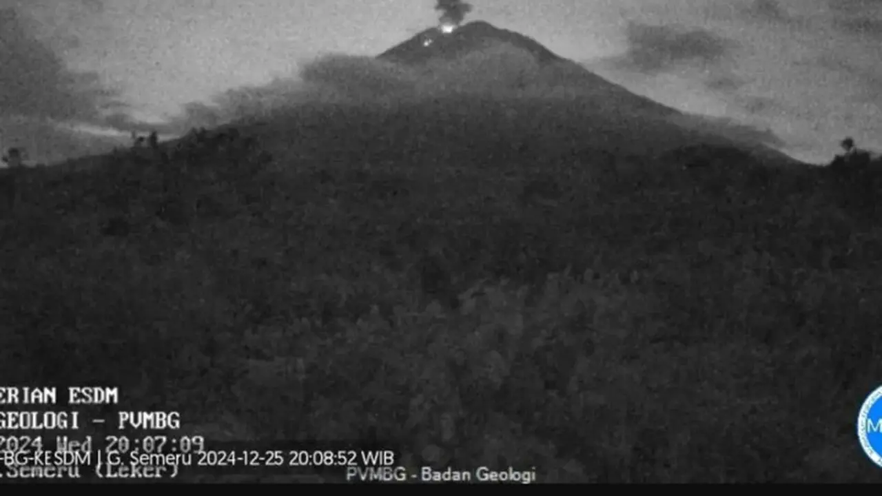 Gunung Semeru erupsi dengan tinggi letusan capai 700 mdpl (Istimewa)