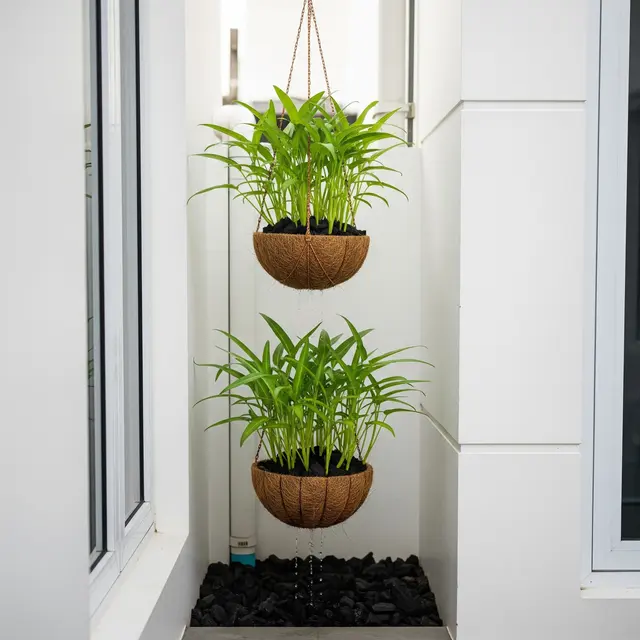 Ide Kebun Sayur di Pot Gantung Sabut Kelapa Alami (AI)