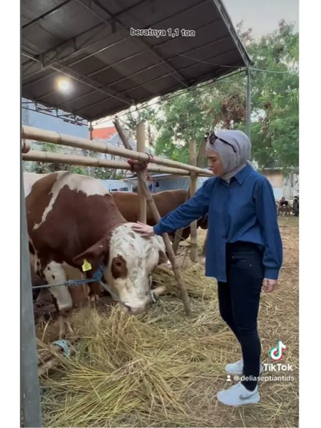 Jelang Hari Raya Idul Adha, Ini 6 Potret Delia Septianti Kini Semangat Jualan Sapi