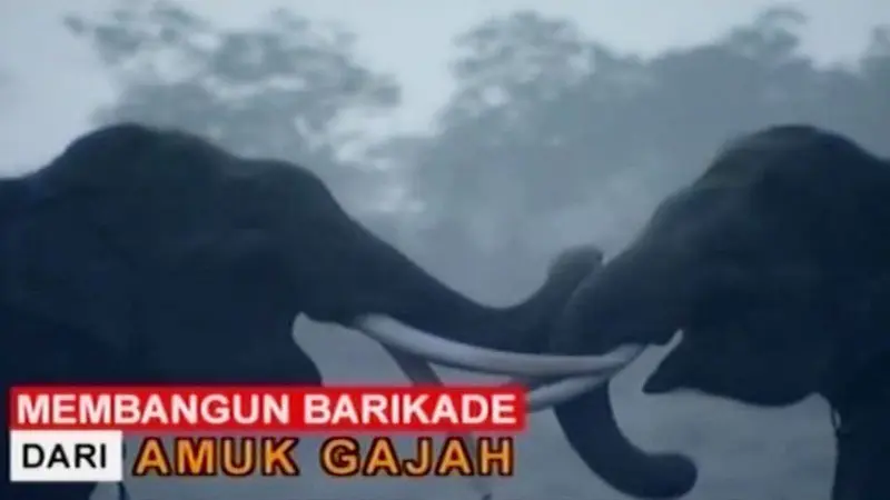 Sigi Investigasi: Membangun Barikade dari Amuk Gajah