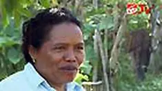 liputan6