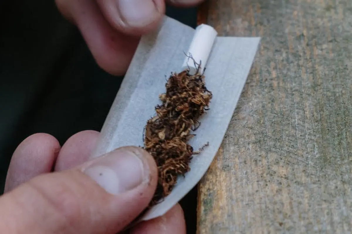 Ilustrasi tembakau rokok (pexels)