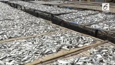 Tingginya harga garam membuat produsen ikan asin kelimpungan. Mereka terpaksa ikut menaikkan harga atau berhenti beroperasi.