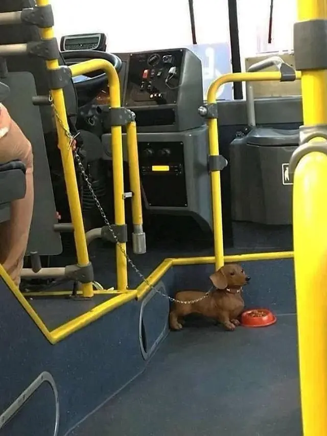 kejadian absurd di bus