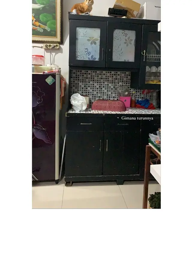 10 Potret Tempat Kucing Rebahan Ini Bikin Geleng Kepala, Enggak Habis Pikir
