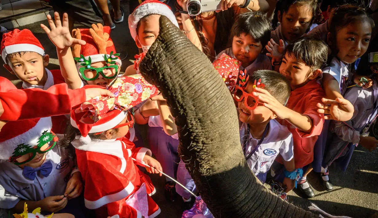 Gajah berkostum sinterklas memberikan hadiah kepada para siswa saat perayaan Natal di sekolah Jirasartwitthaya, Provinsi Ayutthaya, Thailand, Senin (23/12/2019). Kendati warga Thailand sebagian besar beragama Buddha, perayaan Natal adalah hal biasa. (Mladen ANTONOV/AFP)