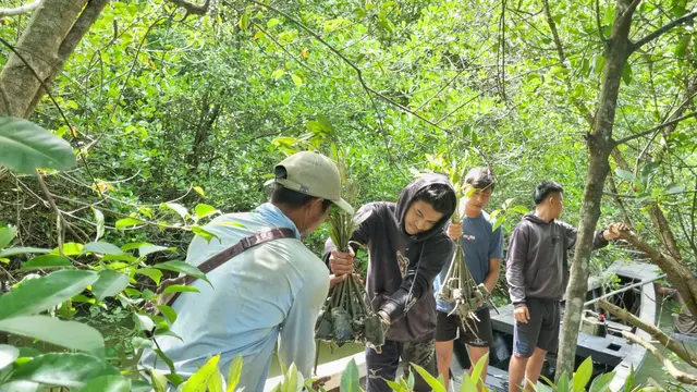 Restorasi Gambut Seluas 1,6 Juta Hektar dan Rehabilitasi Mangrove 84.396 Hektar