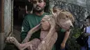 Pihak berwenang pada Jumat mengumumkan penghentian pembantaian daging anjing dan kucing yang "sangat kejam" di pasar hewan terkenal di pulau Sulawesi, Indonesia, setelah kampanye selama bertahun-tahun oleh aktivis lokal dan selebritas internasional. (AP Photo/Mohammad Taufan)