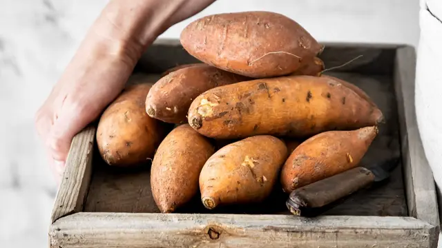 Sweet Potato