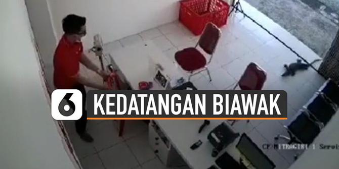 VIDEO: Kocak, Pegawai Pengiriman Paket Dikejutkan Dengan Kedatangan Biawak