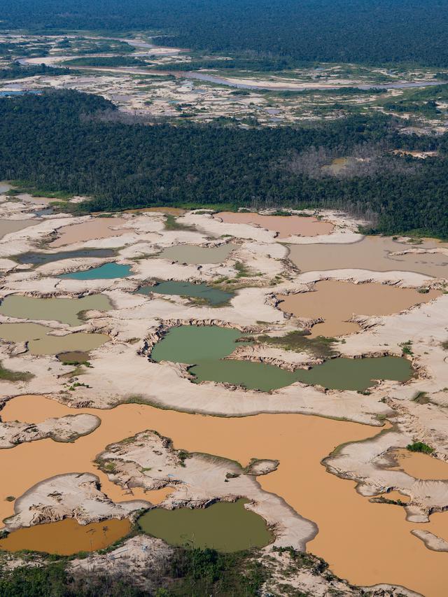 Perubahan Iklim Global Mengancam Hutan Amazon