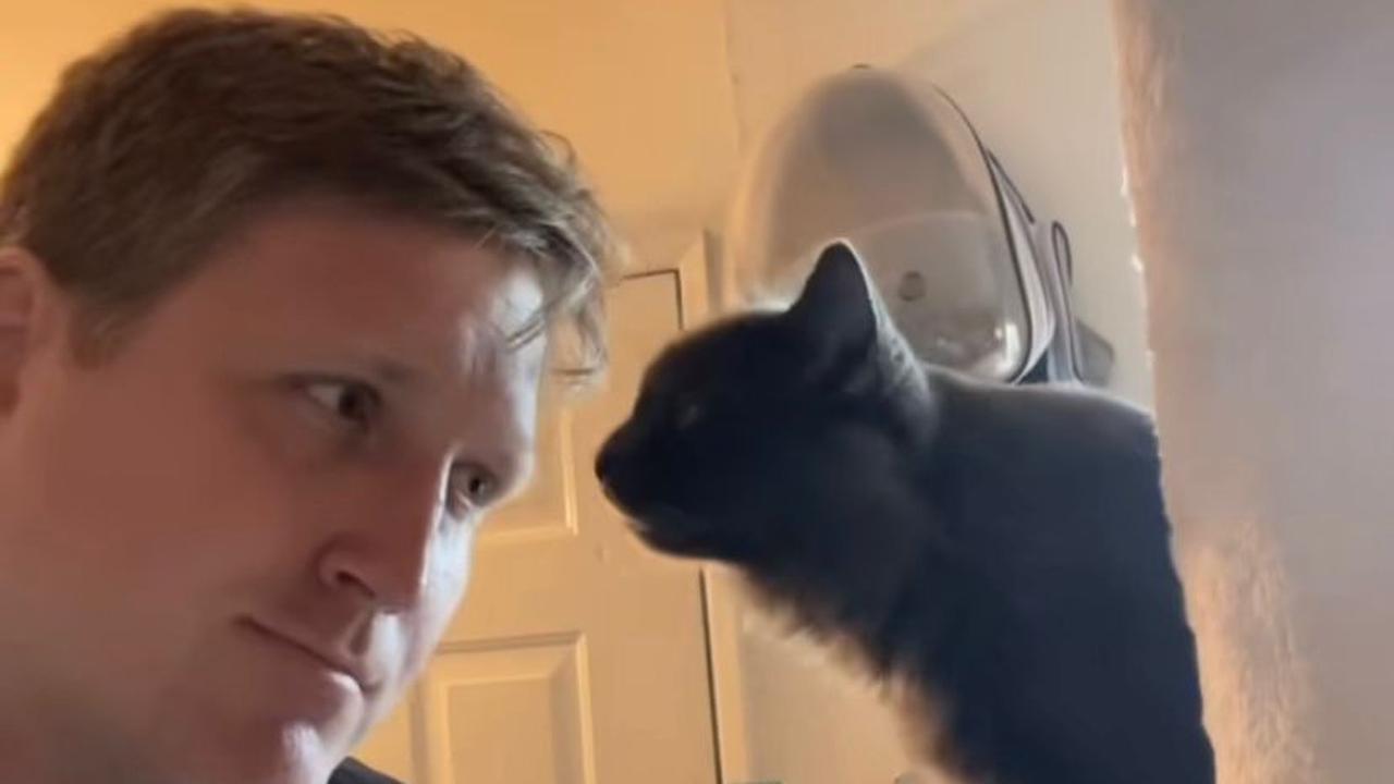 Alec Newman Cat Whisperer