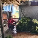 Luhut Kejar Hilirisasi Rumput Laut, Jangan Lagi Jual Bahan Mentah