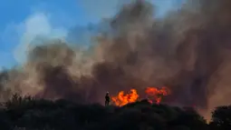 Lebih dari 2.800 hektar hutan hangus terbakar pada kebakaran yang terjadi dan meluas sejak Senin (9/12/2024) malam waktu setempat. (Apu Gomes/Getty Images North America/Getty Images via AFP)