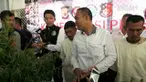 Aparat gabungan menemukan lahan ganja seluas 4 hektar yang terletak di pegunungan Gampong Labuy, Aceh. Dari lokasi petugas menangkap 2 petani ganja yang dibayar Rp 800 ribu oleh pemilik lahan.
