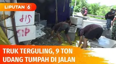 Sebuah truk terguling di Jalan Trans Sulawesi lantaran tak kuat menanjak. Akibatnya muatan 9 ton udang siap ekspor yang diangkut tumpah di jalan. Kerugian ditaksir mencapai ratusan juta rupiah, udang terancam membusuk.