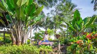 Cimory Semarang./Cimory.com