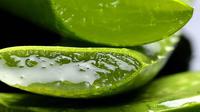gel lidah buaya (sumber: pixabay)