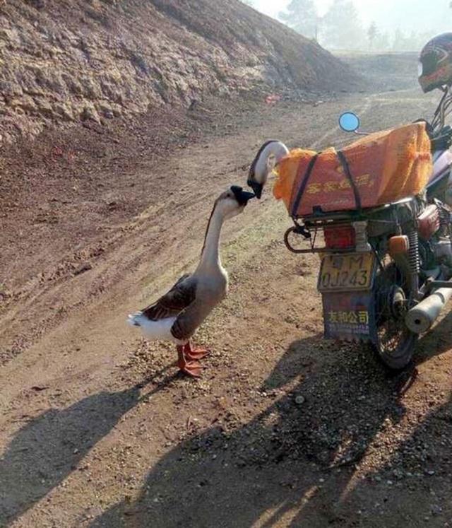 Photo: Copyright scmp.com