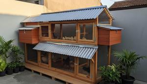 Ide Kandang Ayam Bertingkat untuk Menghemat Lahan Sempit di Rumah. Foto: Gemini